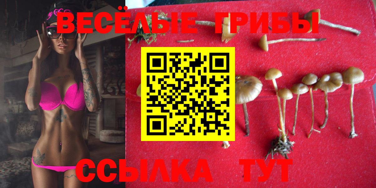 Галлюциногенные грибы Cubensis Нижневартовск