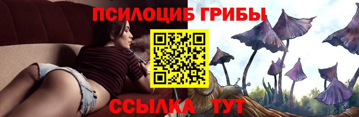 закладки  Вход с VPN  Нижневартовск  Псилоцибиновые грибы Cubensis 
